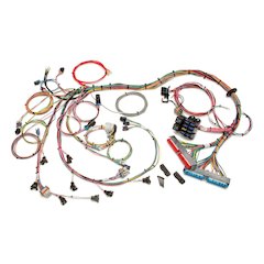 98-02 GM LS1 Fuel Inj. Wiring Harness