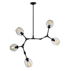 Organic 5Light Chandelier