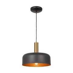Orsa Collection 1Light Pendant Black and Brushed Brass