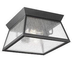 Lucian Collection 2Light Outdoor Flushmount Black