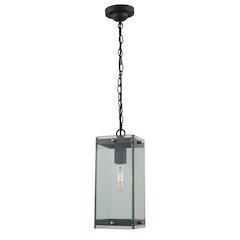 Bradgate 1Light Outdoor Pendant