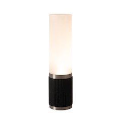 Tambo Cylindro 18" Petite Accent Table Lamp - Black Oak, Satin Nickel, Frosted