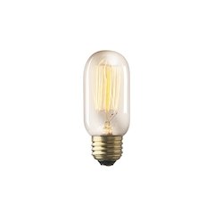 Filament E26 40W 4.2"H Bulb