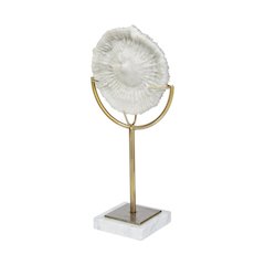 Sandy III (Large) 8L x 4W White Coastal Sand Dollar Object