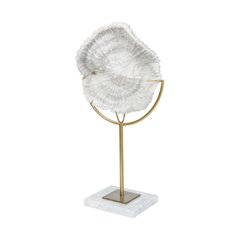 Sandy I (Small) 6L x 3W White Coastal Sand Dollar Object