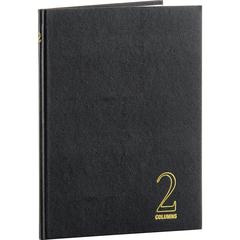 Wilson Jones 74100 2-Column Account Book - 40 Sheet(s) - Sewn Bound - 7" x 9.25" Form Size - 9.50" x 7" Sheet Size - 2 Columns per Sheet - White Sheet(s) - Red, Blue Print Color - Black, Gold Cover - 