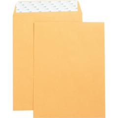 Business Source Self Adhesive Kraft Catalog Envelopes - Catalog - 9" Width x 12" Length - 28 lb - Self-sealing - Brown Kraft - Kraft - 250 / Box
