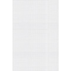 Ampad Graph Pad - 50 Sheets - Both Side Ruling Surface - 15 lb Basis Weight - Tabloid - 11" x 17" Sheet Size - White Paper - Chipboard Backing, Smudge Resistant - 1 Pad