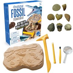 GeoSafari Fossil Excavation Kit - Theme/Subject: Fun - Skill Learning: Paleontology, STEM, Fossil - 7-12 Year - 1 Each