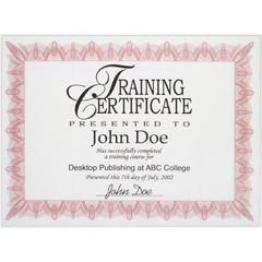 Advantus Panel Wall Acrylic Certificate Holder - Holds 11" x 8.50" Insert - Horizontal, Vertical - Hook - 1 Each - Clear