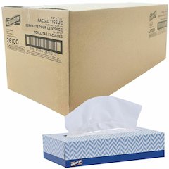 Genuine Joe Facial Tissue - 2 Ply - White - 100 Per Box - 30 / Carton