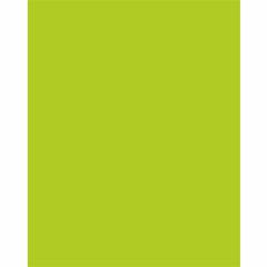 UCreate Neon Poster Board - 22"Width x 28"Length - 25 / Carton - Hot Lime