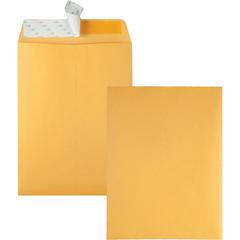 Quality Park 9 x 12 Catalog Envelopes with Redi-Strip&reg; Closure - Catalog - #10 1/2 - 9" Width x 12" Length - 28 lb - Self-sealing - Kraft - Kraft - 100 / Box