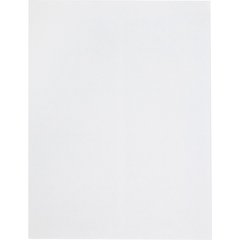 Quality Park Redi Strip Security Mailing Envelopes - Multipurpose - #13 1/2 - 10" Width x 13" Length - Peel Strip - White - 1 Box
