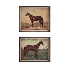 Set Of Two Horse Prints Under Glass