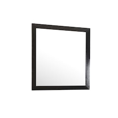 Glory Furniture Burlington Mirror in Black Color