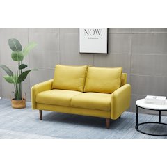 Jadier Velvet Living Room Loveseat
