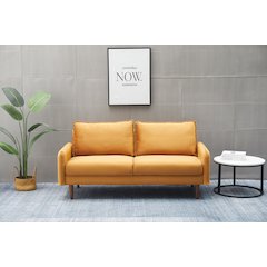 Jadier Velvet Living Room Sofa