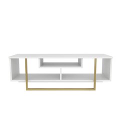 Asal 47" Tv Stand - White Gold