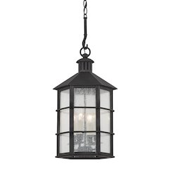 Lake County Exterior Lantern, French Iron