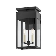 Braydan Exterior Wall Sconce, Texture Black