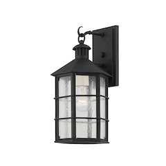 Lake County Exterior Wall Sconce, French Iron
