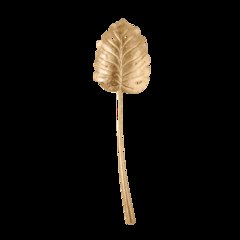 Seychelles Wall Sconce, Vintage Gold Leaf