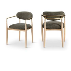 Riccio Brown Performance Fabric Upholstered Dining Arm Chair, Set of 2