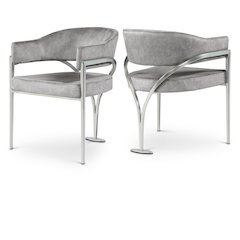 Madelyn Grey Velvet Dining Chair, Set of 2