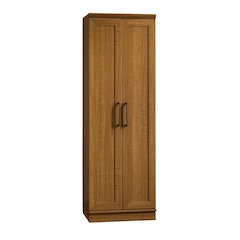 Brown Storage Cabinet with Doors and Shelves for Home Organization