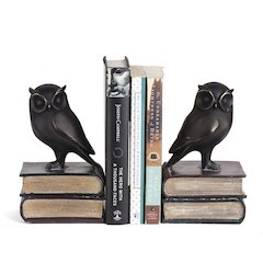 Owl on Books Bookend Set