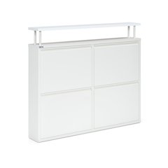 Antibacterial 4 Tier metal shoe cabinet with shelf