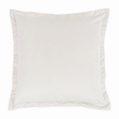 Conner 20" Velvet Throw Pillow, Set of 2 - Cloud
