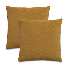 Gemma 21" Velvet Throw Pillow, Set of 2 - Coin