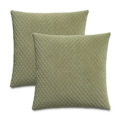 Gemma 21" Velvet Throw Pillow, Set of 2 - Tarragon Green