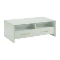 Verdant Wood Coffee Table with 2 Drawers and 2 Shelves MDF Particle Board