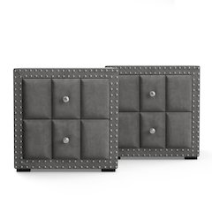 Fynor Modern Velvet 2-Drawer Nightstand (Set of 2)