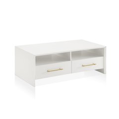 Elvora Modern Wood 2-Drawer and 2-Shelf Coffee Table