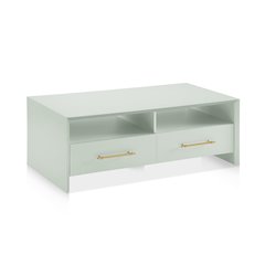 Elvora Modern Wood 2-Drawer and 2-Shelf Coffee Table