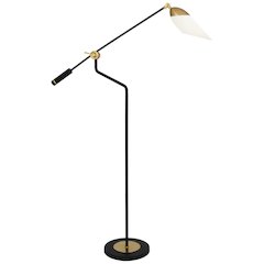 Ferdinand Floor Lamp in Matte Black Painted Color