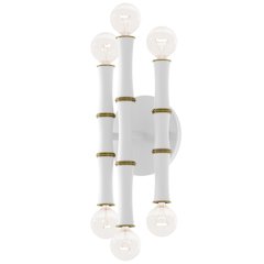 Kane Wall Sconce in Matte Daisy Color