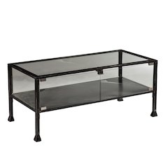 Terrarium Display Cocktail Table