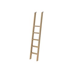 Contemporary Decorative Wooden Ladder, Brown
