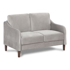 Theo Modern Velvet Fabric Loveseat Sofa in Gray