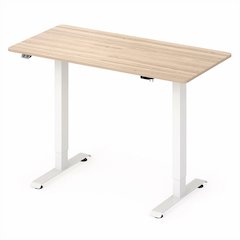 Tilah Metal Height Adjustable Office Desk