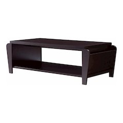 Allium Wood Coffee Table with Magazine Rack in Cappuccino