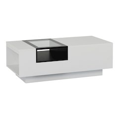 Sydney Modern Wood Storage Coffee Table in White and Black