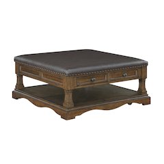 Rochester Asian Hardwood Cocktail Table in Brown