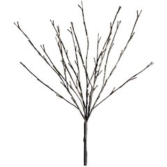 Willow Branch