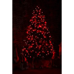 Multi-Function Timed String Lights - 100 RGB LEDs with Remote